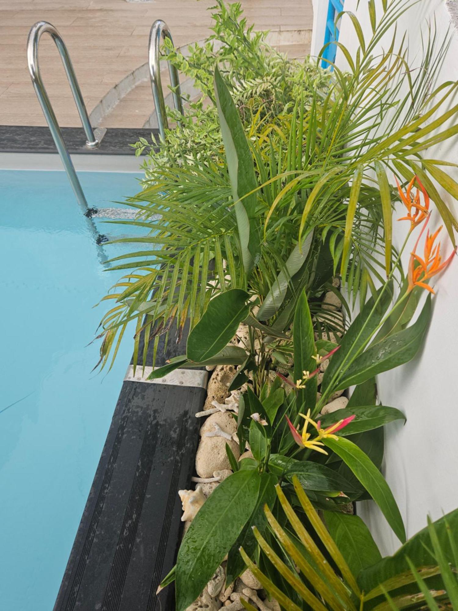 Ti Oasis Colibri, 1 Chambre, Piscine, A 150M De La Plage Sainte-Luce Kültér fotó